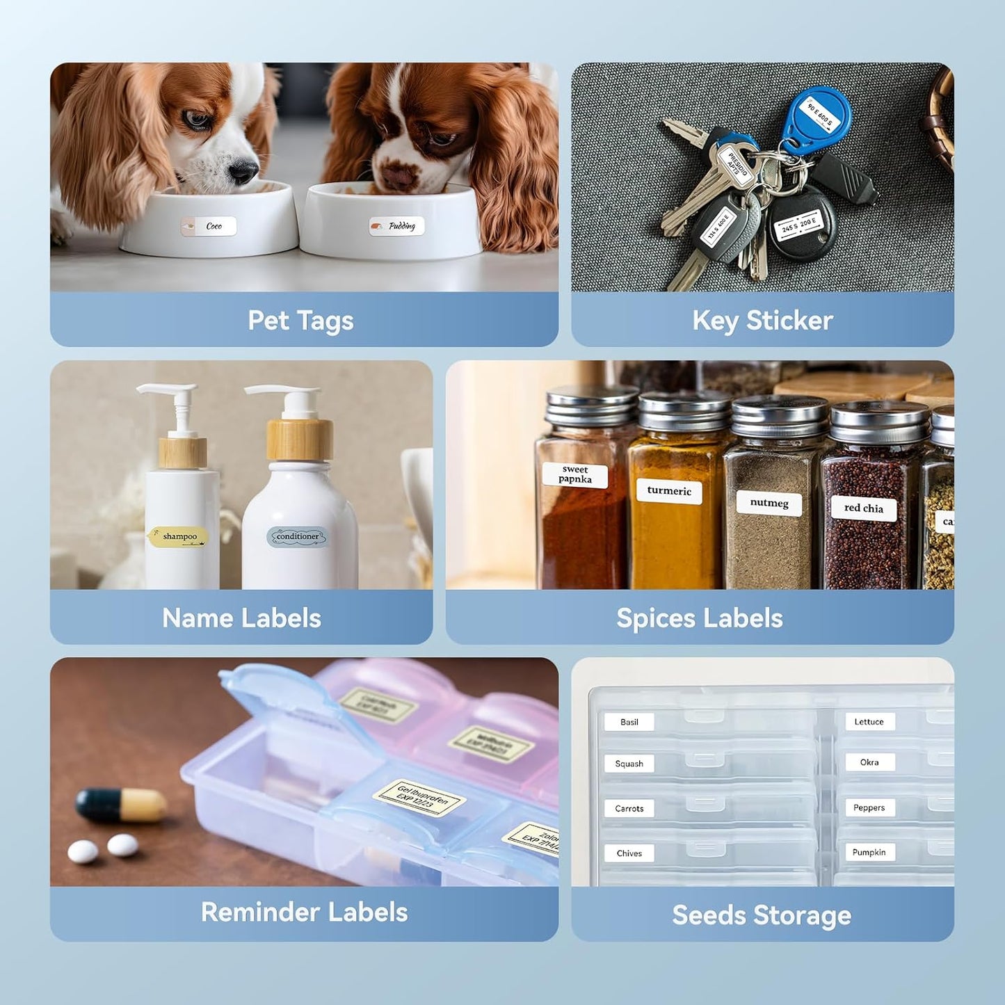 NIIMBOT D11 • White + Free roll of labels