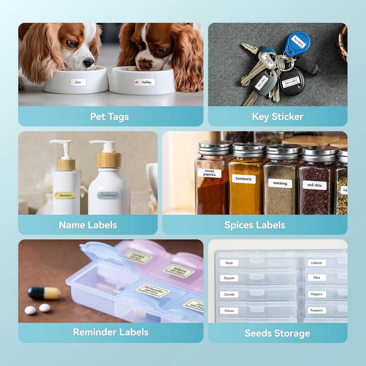 NIIMBOT D11 • Blue + Free roll of labels